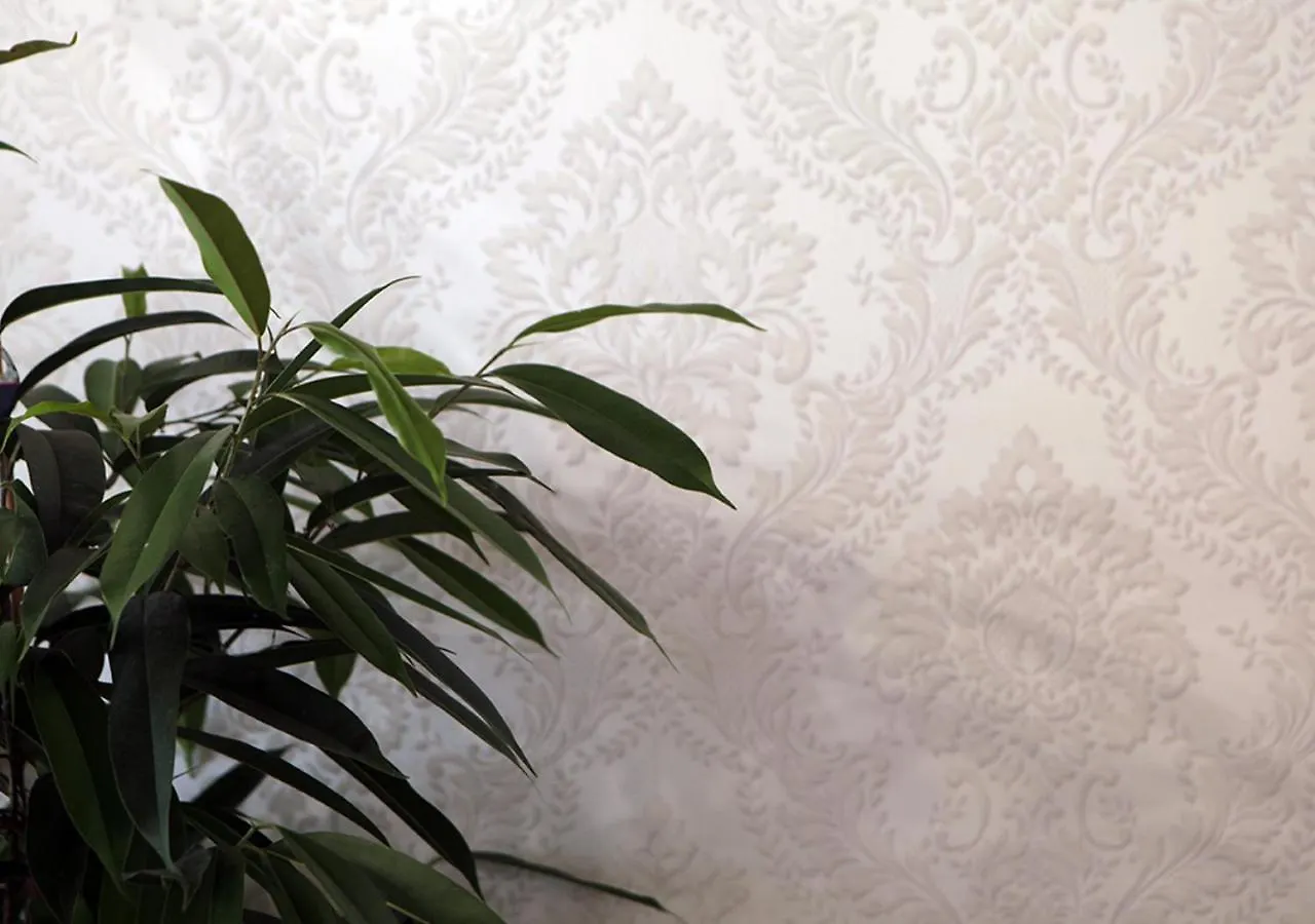 Guest house Charming Palace Santa Fosca Venice